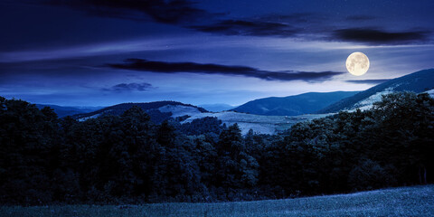 summer landscape of carpathian mountains at night. beautiful scenery in full moon light. beech fores