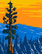 WPA poster art of the Boole Tree a giant sequoia in Converse Basin Grove of Giant Sequoia National Monument in Sierra Nevada, Fresno County, California USA done in works project administration style.