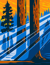 WPA Poster Art Of The Giant Sequoia National Monument Located In The Southern Sierra Nevada In Eastern Central California USA Done In Works Project Administration Or Federal Art Project Style.
