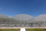 Fototapeta  - farming control environtment with greenhouse building to protect bug