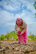 © PRASANNAPIX - Indian lady working at field