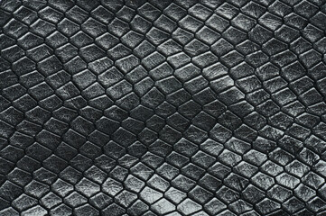 Wall Mural - Dark snake skin pattern