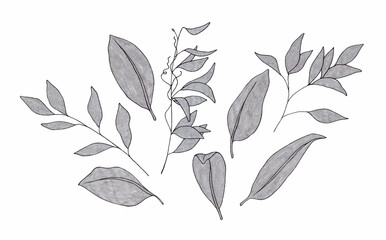 plant illustration abstract decorative silver leaves set 2