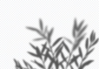 Aufkleber - Vector Transparent Shadow of Bunch Leaves. Tree Silhouette. Decorative Design Element for Presentations and Mockups. Creative Overlay Effect