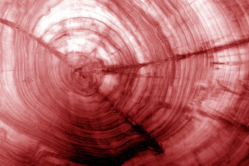 Wall Mural - Wooden board texture with blur effect in red tone.