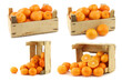 fresh tangerines in a wooden crate on a white background