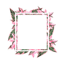 Decorative Tropic Pink Leaves Border. Hand Drawn Watercolor Illustration.