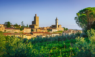 Wall Mural - Vinci, Leonardo birthplace, village skyline, vineyards and olive trees. Florence, Tuscany Italy