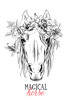 Portrait of a elegant horse. Magical horse - lettering quote. Poster, t-shirt composition, handmade print. Vector illustration.