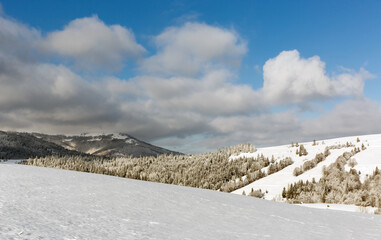 Poster - winter meadow in mountains