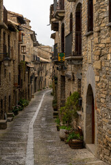 Wall Mural - narrow cobblestone street with massive brown stone houses