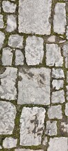 Garden Design: Stone Pavers With Moss.