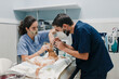 © Alberto Ortega/ADDICTIVE STOCK - Crop anonymous male veterinarian with nurse in uniforms treating animal patient on table in hospital
