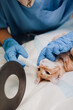 © Alberto Ortega/ADDICTIVE STOCK - From above of crop anonymous vet doctor in sterile gloves putting in eye drops from bottle to animal patient in clinic