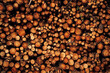 © Eduardo Ramon/ADDICTIVE STOCK - Pile of cut tree trunks and branches arranged together in forest as abstract background