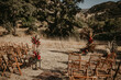 © Joy Zamora/ADDICTIVE STOCK - Empty area with wicker chairs and arch with flowers prepared for wedding ceremony in garden on sunny day in summer