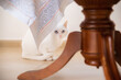 © Miguel Cano/ADDICTIVE STOCK - Adorable cat with white fur looking at camera while sitting on tiled floor behind wooden table leg with ornamental fabric