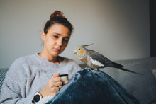 Young Lady In Warm Sweater Smiling And Drinking Hot Coffee While Relaxing On Sofa With Adorable Cockatiel Bird On Hand