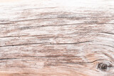 Fototapeta Do akwarium - Jasne piękne drewniane tło, tekstura białego drzewa, pnia ze słojami. 