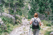© Pol Sole/ADDICTIVE STOCK - Back view of unrecognizable group of trekkers with rucksacks and poles strolling on pathway on summer day