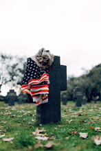 National American Flag And Army Flag Placed On Gravestone In Military Cemetery On Early Autumn Day