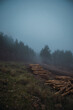 © Ruben Soto/ADDICTIVE STOCK - Scenic view of heap of timber on grass against trees under misty sky in twilight