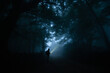 © Pol Sole/ADDICTIVE STOCK - Side view of anonymous male trekker silhouette on pathway illuminating night woods with flashlight