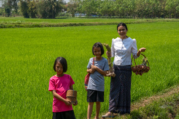 Wall Mural - Family mother and daughter walking in rice field of rural background, Asian people holding vegetables and smile in countryside, happy family in rural and working agriculture in organic garden