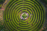 Fototapeta  - Aerial view of a circular garden maze and green pavilion
