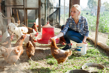 Smiling girl farmer feeding chicken from bucket with seed at farm