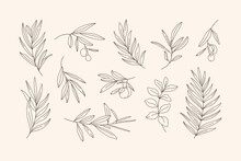 Set Of Leaves And Branch. Outline Palm Leaf And Olive Branch In A Trendy Minimalist Style. Vector Illustration For Printing On T-shirt, Web Design, Beauty Salons, Posters, Creating A Logo And Patterns
