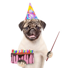 Poster - Pug puppy wearing a party cap holds birthday cake and points away on empty space. isolated on white background
