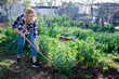 Young woman gardener with mattock working with beans seedlings in sunny garden outdoor
