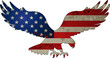 American eagle with USA flags