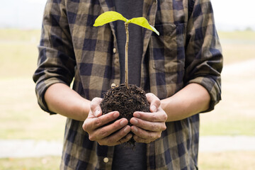 The young man's hands are planting young seedlings on fertile ground, taking care of growing plants. World environment day concept, protecting nature