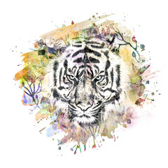 Wall Mural - head of a tiger in the jungle