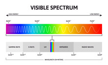 Visible Color Spectrum. Sunlight Wavelength And Increasing Frequency Vector Infographic Illustration. Visible Spectrum Color Range. Rainbow Electromagnetic Waves. Educational Physics Line