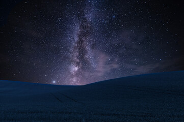 Wall Mural - landscape with field and milky way