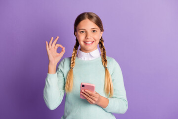 Wall Mural - Photo portrait of girl showing ok-sign holding phone in one hand isolated on vivid purple colored background