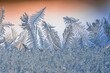 Ice hoarfrost patterns on glass in winter. Sub zero frozen water crystal art.