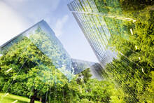 Green City - Double Exposure Of Lush Green Forest And Modern Skyscrapers Windows