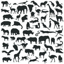 Safari Animal Silhouette Illustration. Vector Collection Clip Art. Wild Life African Safari Icons.