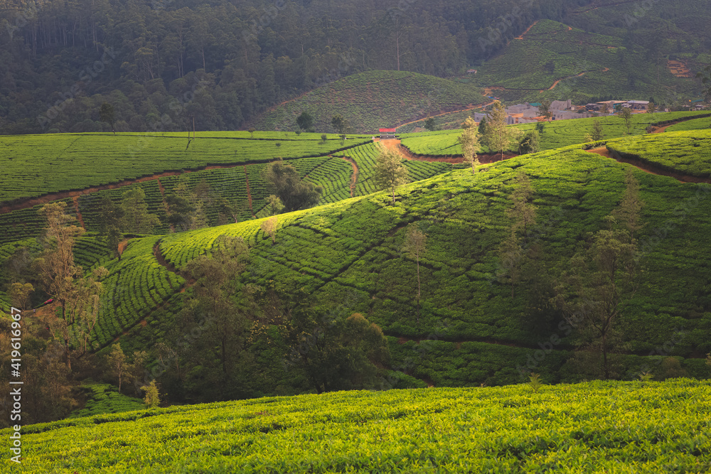 Dramatic light and shadow over a landscape countryside view of Sri ...