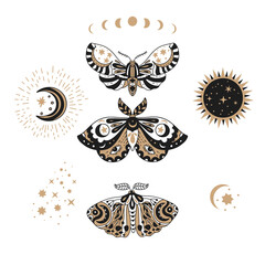 Wall Mural - Design butterfly nature isolated insect vector art. Spring boho bohemian moth set. Celestial collection.