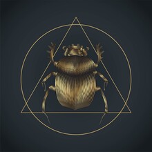Vector Illustration Of Stylised Golden Scarab Bug In Triangle Inside Circle Occult Sign On Black Background. Graphic Print. Sacred Symbol. Abstract Mystic Sign.