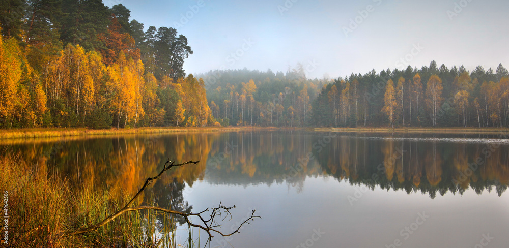Obraz na płótnie Piękne  mgliste  Leśne  Jesienne Jezioro  w salonie