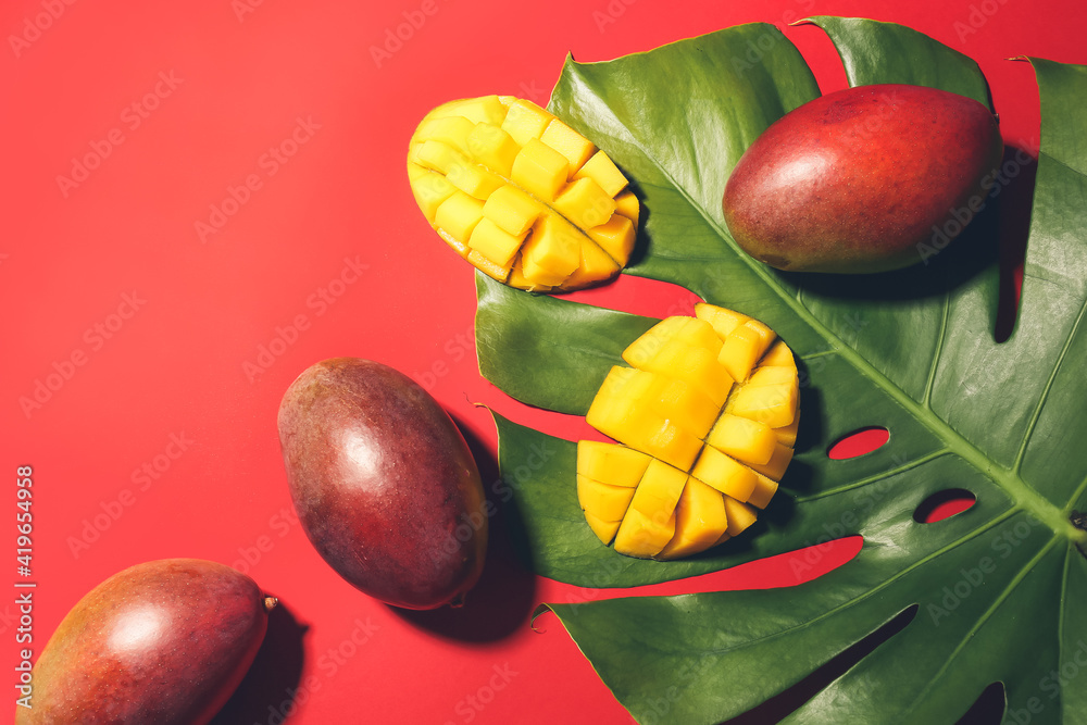 Sweet ripe mangoes and tropical leaf on color background