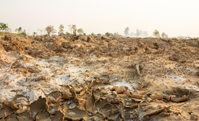 Wall Mural - Saline soil