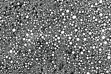 Wall Mural - Grunge texture of a porous foam surface. Monochrome background of chaotic bubbles, spots, noise and graininess. Overlay template. Vector illustration