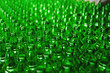 Rows of green glass bottles on the conveyor close-up. Industrial brewery